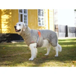 Siccaro WetDog SupremePro -Happy Hundchen Geschaft siccaro wetdog supremepro 20 216997 0500 none