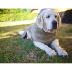 Siccaro WetDog SupremePro -Happy Hundchen Geschaft siccaro wetdog supremepro 20 216998 0500 none