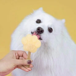 Smoofl Hundeeis Starter Kit 19 Smoofl Hundeeis Starter Kit -Happy Hundchen Geschaft smoofl dog ice starter kit 195155 0500 none