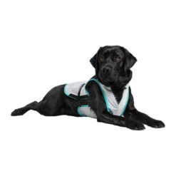 Suitical DRY Cooling Vest 10 Suitical DRY Cooling Vest -Happy Hundchen Geschaft suitical dry cooling vest 149879 0500 none