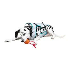 Suitical DRY Cooling Vest 12 Suitical DRY Cooling Vest -Happy Hundchen Geschaft suitical dry cooling vest 149882 0500 none