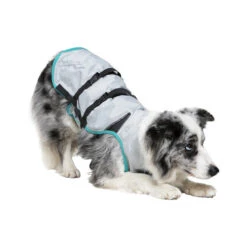 Suitical DRY Cooling Vest 11 Suitical DRY Cooling Vest -Happy Hundchen Geschaft suitical dry cooling vest 149888 0500 none
