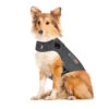 Thundershirt Für Hunde 2 Thundershirt Für Hunde -Happy Hundchen Geschaft thundershirt hond 215942 0500 none