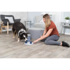 Trixie Dog Activity Gambling Tower 14 Trixie Dog Activity Gambling Tower -Happy Hundchen Geschaft trixie dog activity gambling tower 179852 0500 none