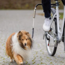 Trixie Biker-Set -Happy Hundchen Geschaft trixie fiets set 178264 0500 none