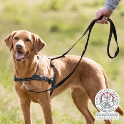 Trixie Lead'n Walk Soft Hundegeschirr -Happy Hundchen Geschaft trixie leadn walk soft hondentuig 213905 0500 none