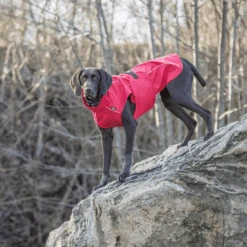 Trixie Regenjacke Vimy -Happy Hundchen Geschaft trixie regenjas vimy 204854 0500 none