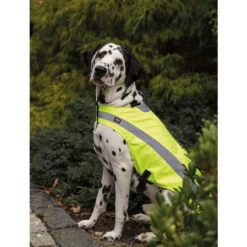 Trixie Reflektierende Sicherheitsweste 20 Trixie Reflektierende Sicherheitsweste -Happy Hundchen Geschaft trixie veiligheidsvest reflecterend 209312 0500 none