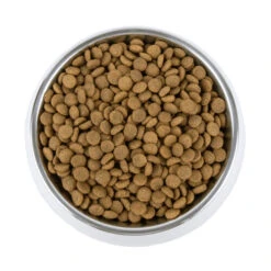 Vetality Gastrointestinal - Hundefutter 9 Vetality Gastrointestinal - Hundefutter -Happy Hundchen Geschaft vetality gastrointestinal hondenvoer 195230 0500 none