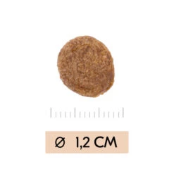 Vetality Gastrointestinal - Hundefutter 8 Vetality Gastrointestinal - Hundefutter -Happy Hundchen Geschaft vetality gastrointestinal hondenvoer 195449 0500 none