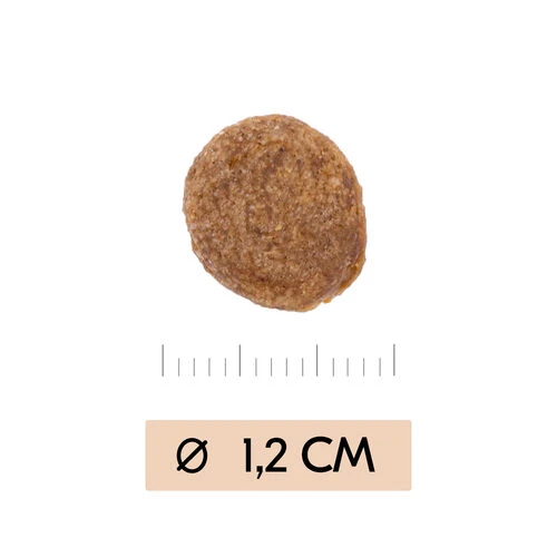 Vetality Gastrointestinal - Hundefutter 5 Vetality Gastrointestinal - Hundefutter – Bild 3