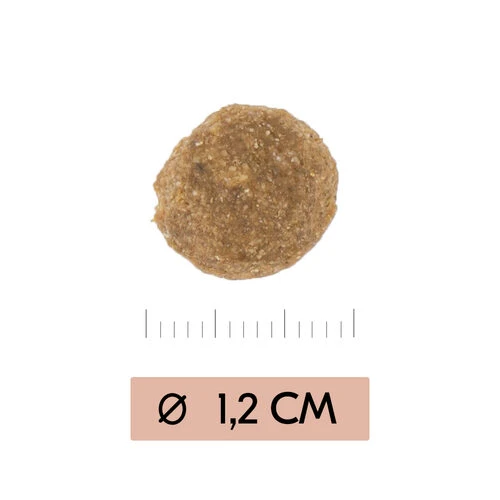 Vetality Gastrointestinal Low Fat - Hundefutter 5 Vetality Gastrointestinal Low Fat - Hundefutter – Bild 3