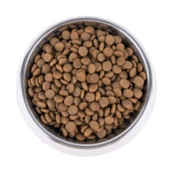 Vetality Hypoallergenic - Hundefutter 9 Vetality Hypoallergenic - Hundefutter -Happy Hundchen Geschaft vetality hypoallergenic hondenvoer 195278 0500 none