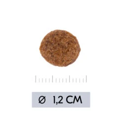 Vetality Hypoallergenic - Hundefutter 8 Vetality Hypoallergenic - Hundefutter -Happy Hundchen Geschaft vetality hypoallergenic hondenvoer 195473 0500 none