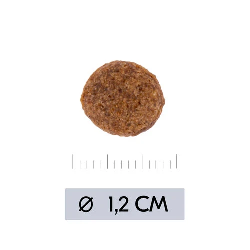 Vetality Hypoallergenic - Hundefutter 5 Vetality Hypoallergenic - Hundefutter – Bild 3