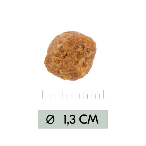 Vetality Metabolic & Mobility - Hundefutter 5 Vetality Metabolic & Mobility - Hundefutter – Bild 3