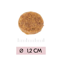 Vetality Puppy Maxi - Hundefutter 9 Vetality Puppy Maxi - Hundefutter -Happy Hundchen Geschaft vetality puppy maxi hondenvoer 213668 0500 none