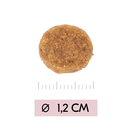 Vetality Puppy Maxi - Hundefutter 6 Vetality Puppy Maxi - Hundefutter – Bild 4