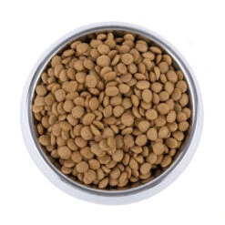 Vetality Skin Support - Hundefutter 9 Vetality Skin Support - Hundefutter -Happy Hundchen Geschaft vetality skin support hondenvoer 195221 0500 none