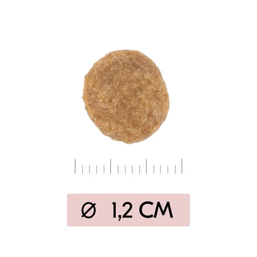 Vetality Skin Support - Hundefutter 5 Vetality Skin Support - Hundefutter – Bild 3