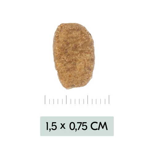 Vetality Weight Management - Hundefutter 5 Vetality Weight Management - Hundefutter – Bild 3