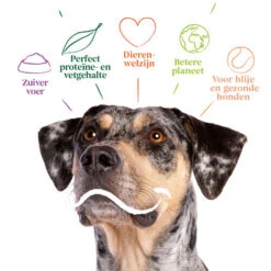 Yarrah - Bio Trockenfutter Vega Getreidefrei -Happy Hundchen Geschaft yarrah bio droogvoer hond vega graanvrij 201212 0500 none