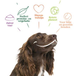 Yarrah - Hundefutter In Soße Vega Mit Hagebutten Bio -Happy Hundchen Geschaft yarrah bio natvoer hond kuipje chunks vega 200843 0500 none