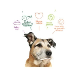 Yarrah - Trockenfutter Senior Mit Huhn, Fisch Und Kräutern Bio 9 Yarrah - Trockenfutter Senior Mit Huhn, Fisch Und Kräutern Bio -Happy Hundchen Geschaft yarrah droogvoer hond senior bio 201146 0500 none