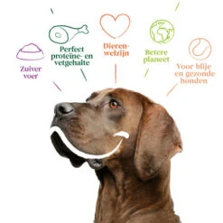 Yarrah - Trockenfutter Sensitiv Mit Huhn Und Reis Bio -Happy Hundchen Geschaft yarrah droogvoer hond sensitive bio 199148 0500 none