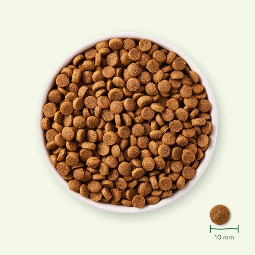 Yarrah - Trockenfutter Für Welpen Mit Huhn Bio 5 Yarrah - Trockenfutter Für Welpen Mit Huhn Bio – Bild 3