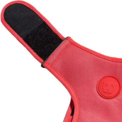 Zee.Dog Adjustable Air Mesh Harness -Happy Hundchen Geschaft zeedog adjustable air mesh harness 215576 0500 none