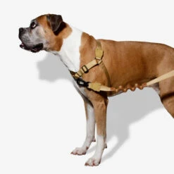 Zee.Dog Soft Walk Harness -Happy Hundchen Geschaft zeedog soft walk harness 200678 0500 none