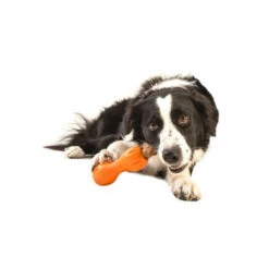 Zogoflex Qwizl -Happy Hundchen Geschaft zogoflex qwizl 136849 0500 none