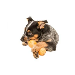 Zogoflex Qwizl -Happy Hundchen Geschaft zogoflex qwizl 136852 0500 none